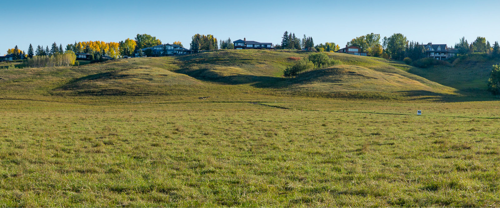 Haskayne Legacy Park Self Guided Walk