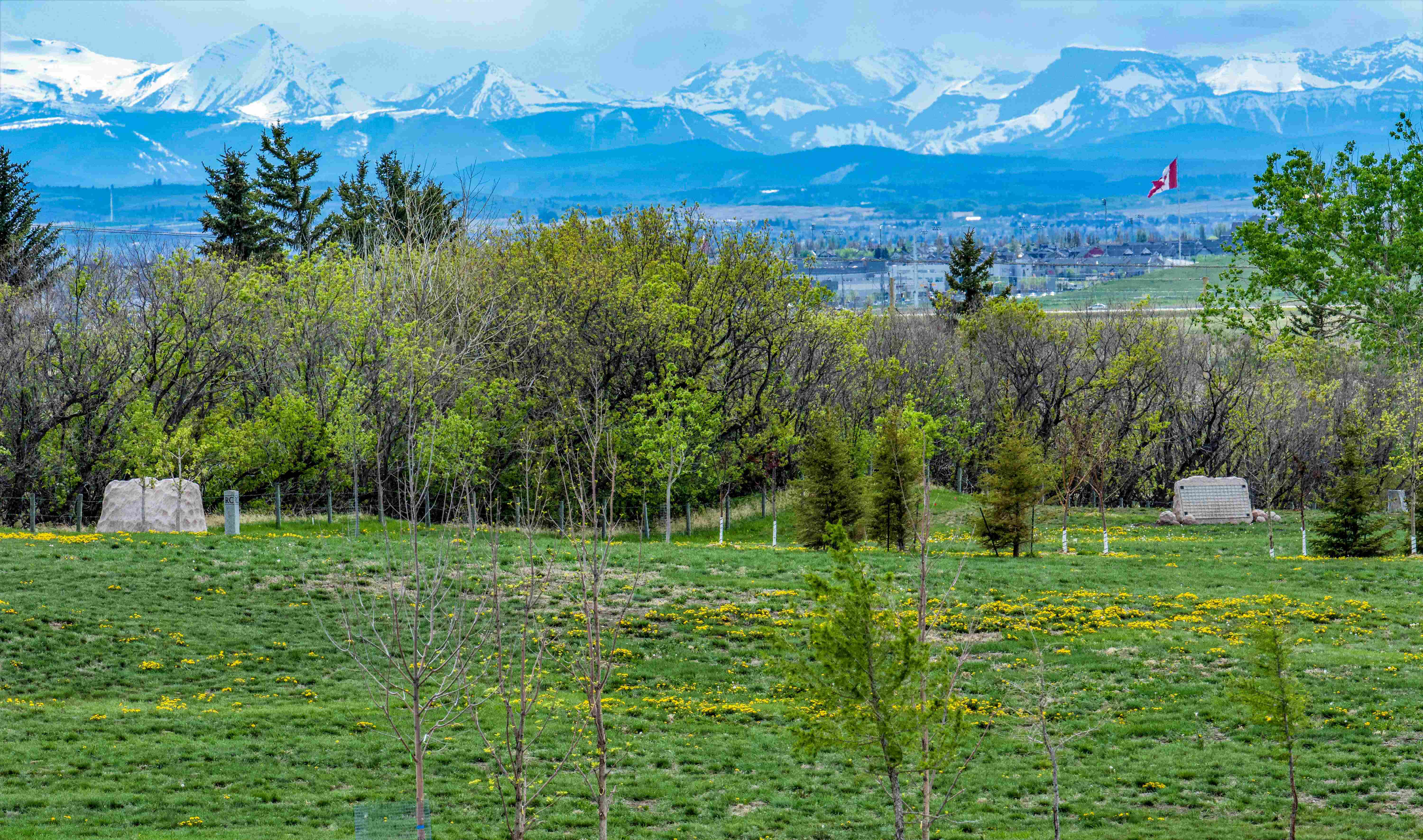 Prairie Sky Cemetery