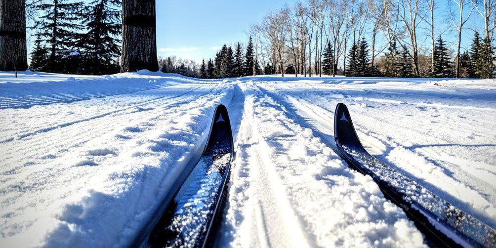 Cross Country Skiing And Snowshoeing   Cross Country Skis 