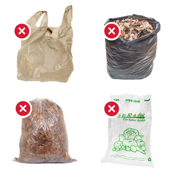 Top 5 Reasons to Go Green with Your Garbage Bags